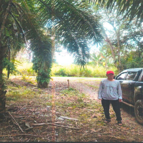 Untitled design - 2026-02-12T095647.519