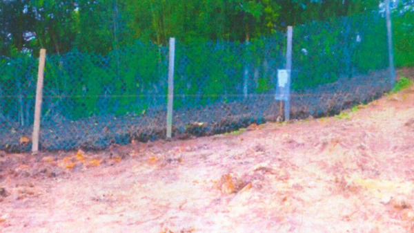 Untitled design - 2026-02-26T095810.725